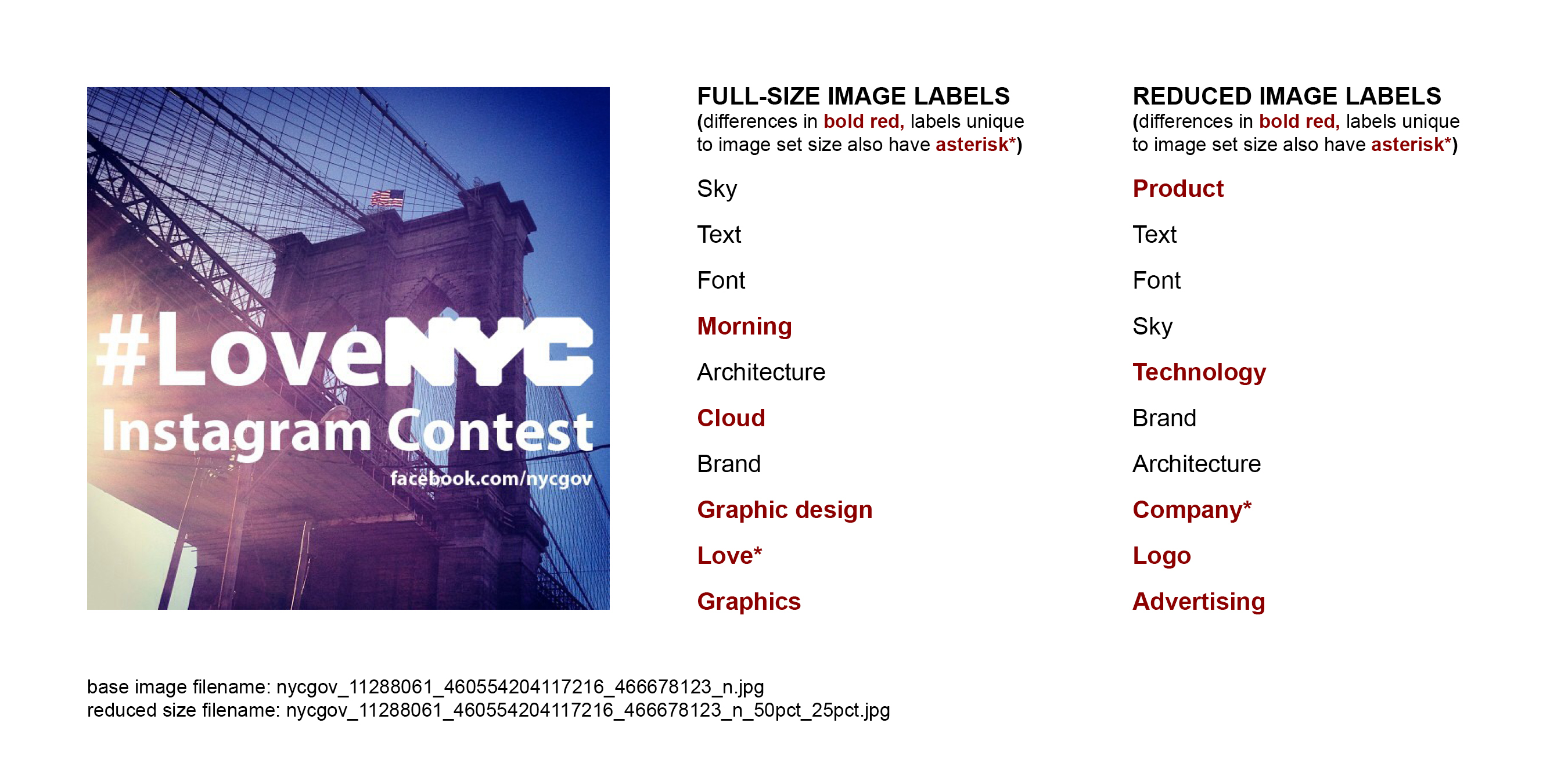 Instagram image advertising photo contest and Brooklyn Bridge alongside AI content labels